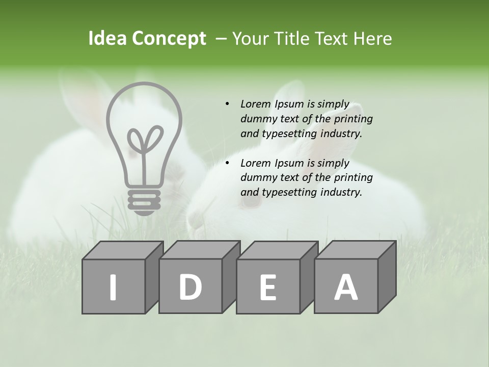 A Couple Of Rabbits Sitting In The Grass PowerPoint Template