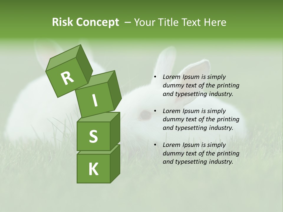 A Couple Of Rabbits Sitting In The Grass PowerPoint Template