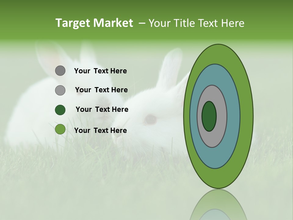 A Couple Of Rabbits Sitting In The Grass PowerPoint Template