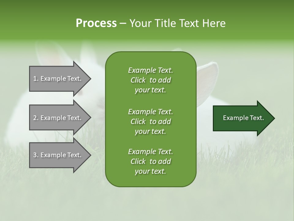 A Couple Of Rabbits Sitting In The Grass PowerPoint Template