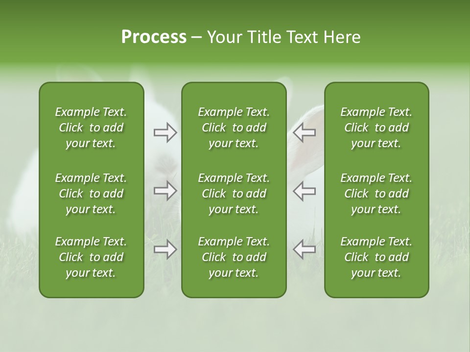 A Couple Of Rabbits Sitting In The Grass PowerPoint Template
