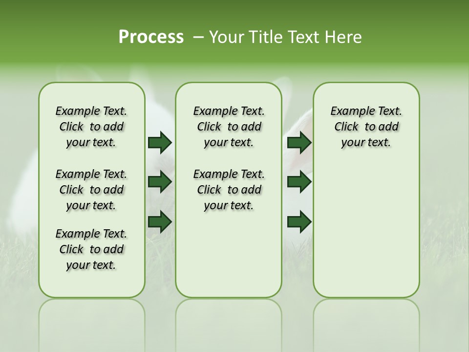 A Couple Of Rabbits Sitting In The Grass PowerPoint Template