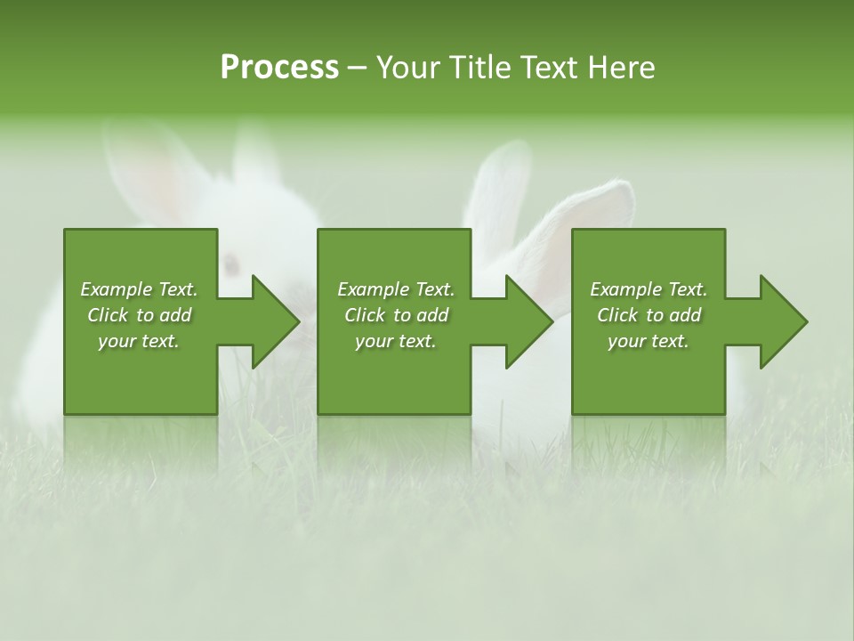 A Couple Of Rabbits Sitting In The Grass PowerPoint Template