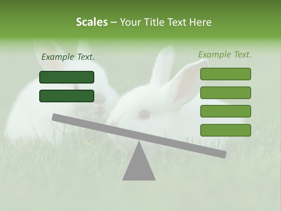A Couple Of Rabbits Sitting In The Grass PowerPoint Template