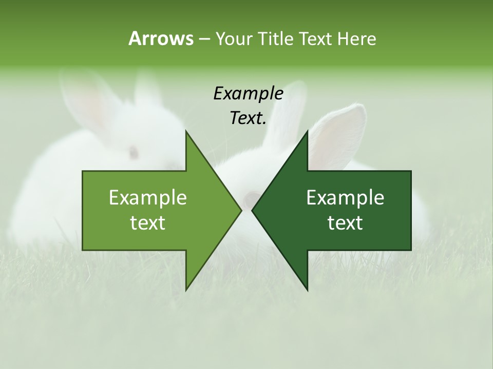 A Couple Of Rabbits Sitting In The Grass PowerPoint Template