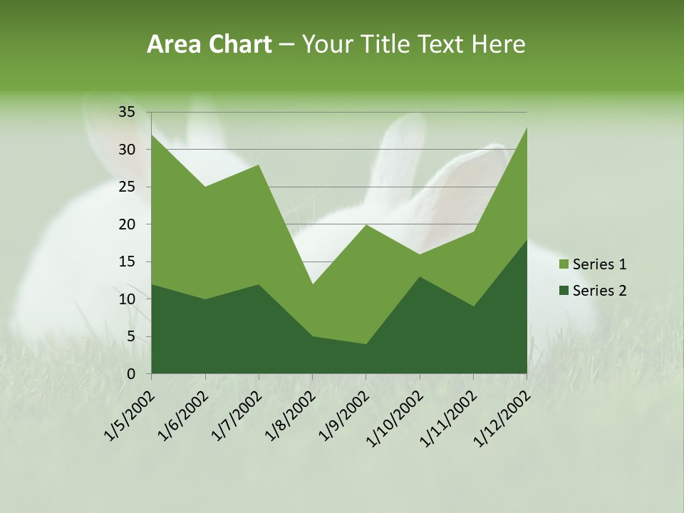 A Couple Of Rabbits Sitting In The Grass PowerPoint Template
