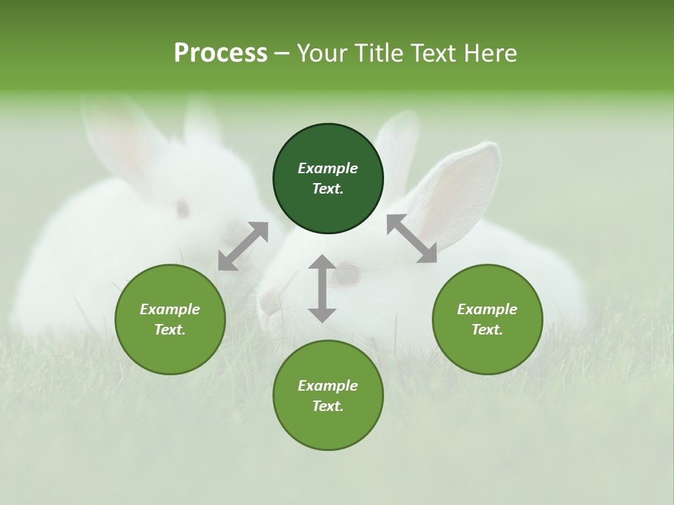 A Couple Of Rabbits Sitting In The Grass PowerPoint Template