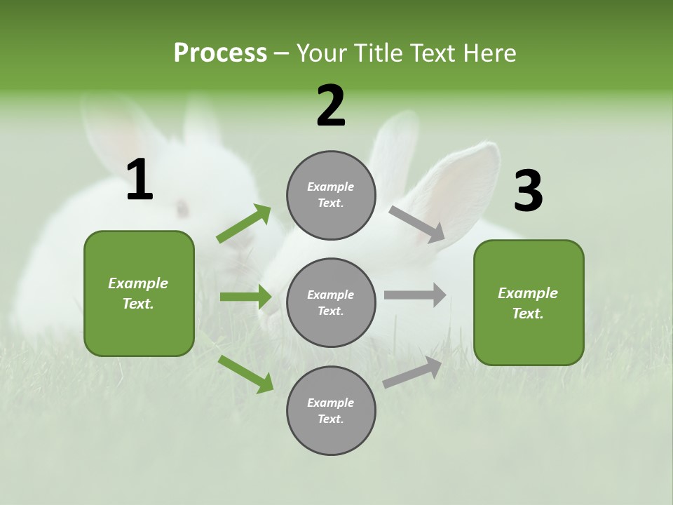 A Couple Of Rabbits Sitting In The Grass PowerPoint Template