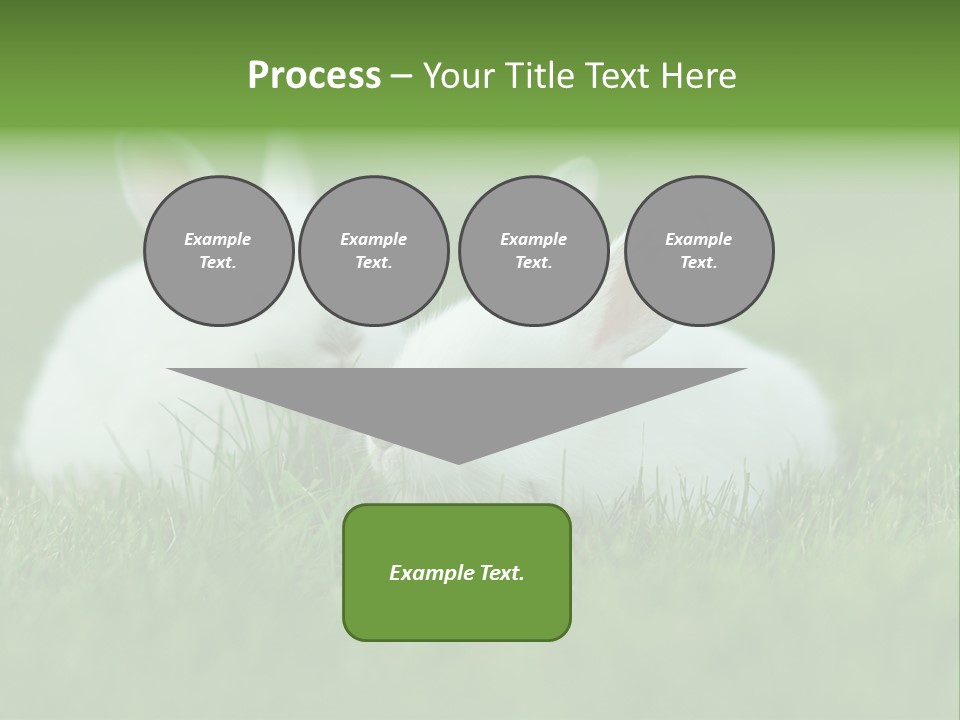 A Couple Of Rabbits Sitting In The Grass PowerPoint Template