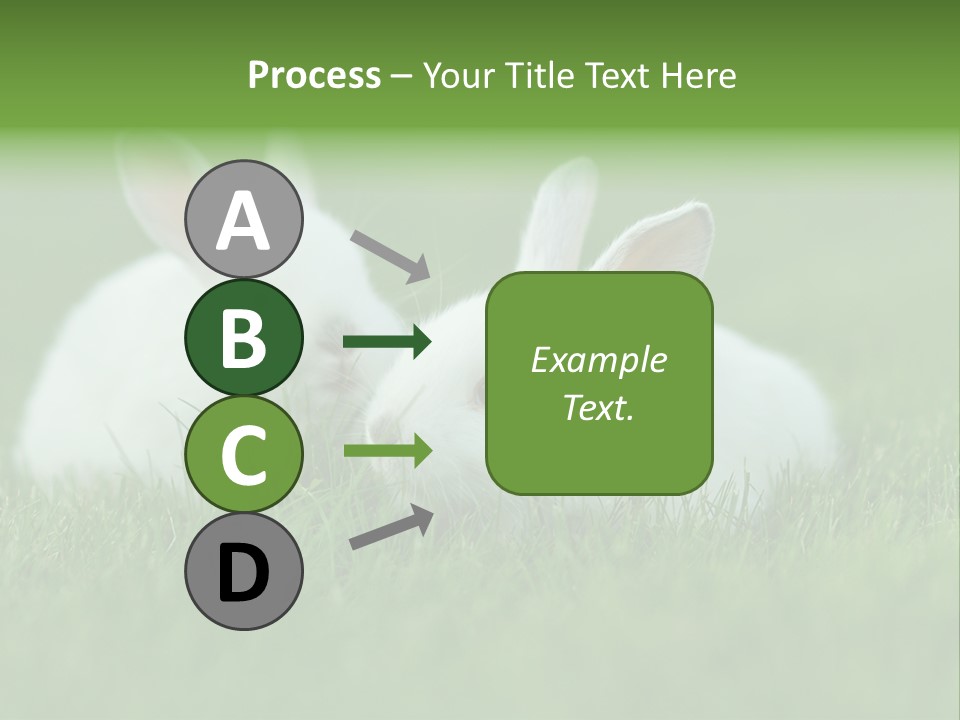 A Couple Of Rabbits Sitting In The Grass PowerPoint Template