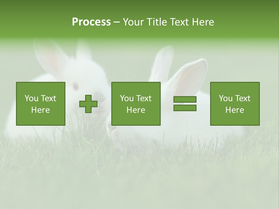 A Couple Of Rabbits Sitting In The Grass PowerPoint Template