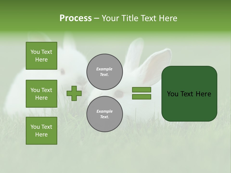 A Couple Of Rabbits Sitting In The Grass PowerPoint Template