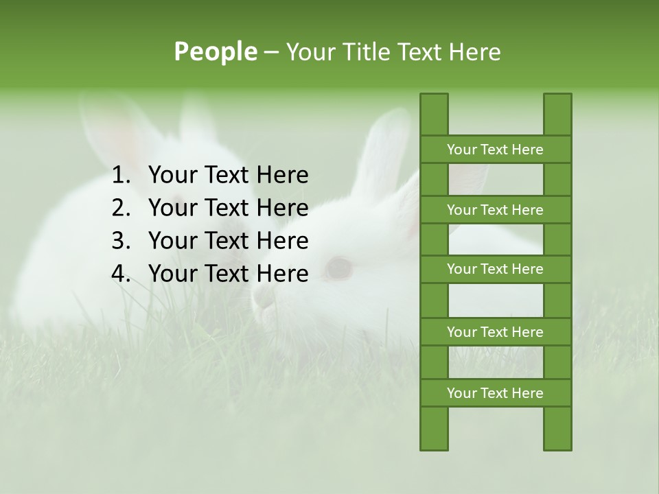 A Couple Of Rabbits Sitting In The Grass PowerPoint Template