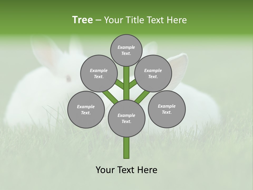 A Couple Of Rabbits Sitting In The Grass PowerPoint Template