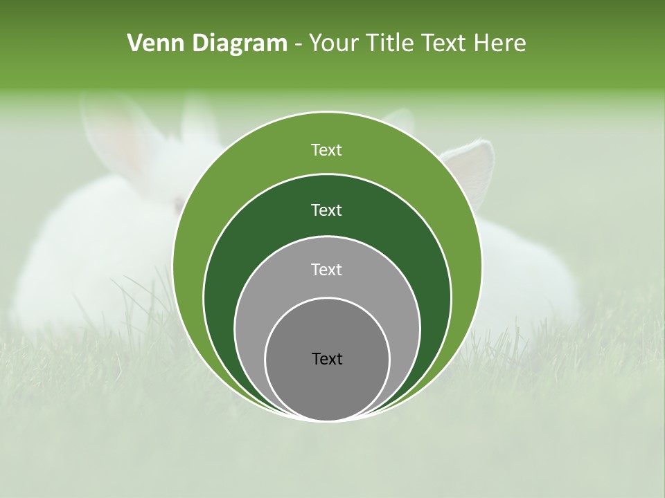 A Couple Of Rabbits Sitting In The Grass PowerPoint Template