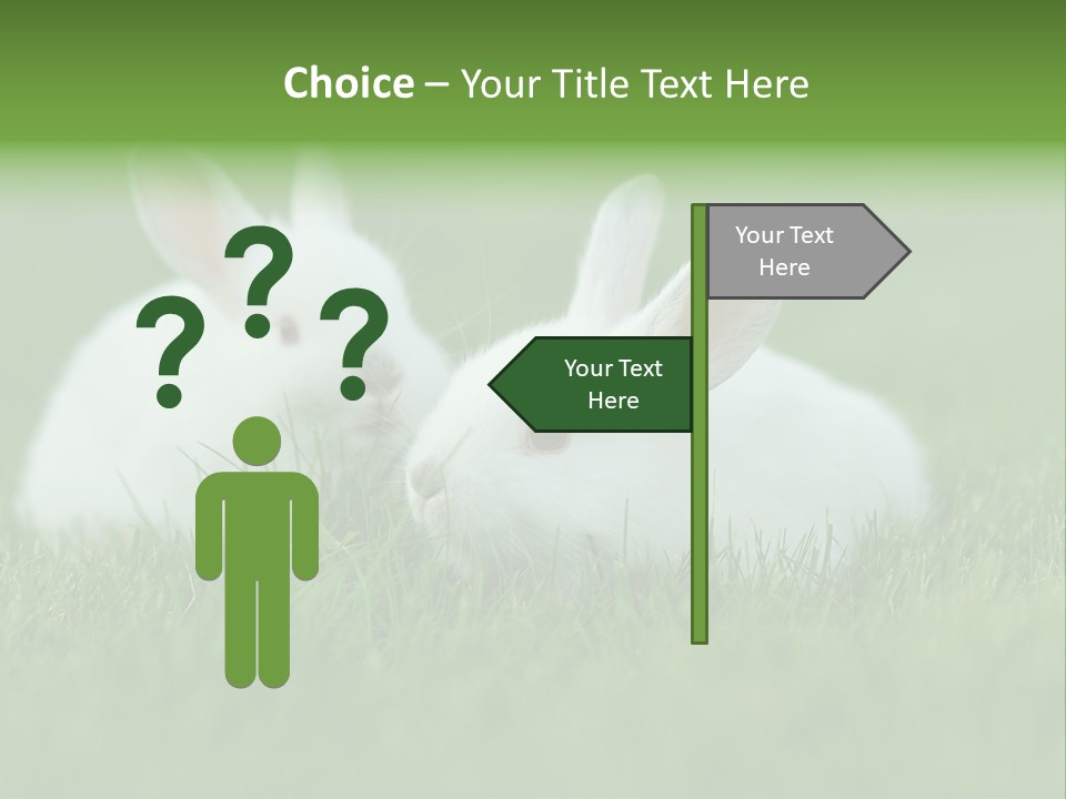 A Couple Of Rabbits Sitting In The Grass PowerPoint Template