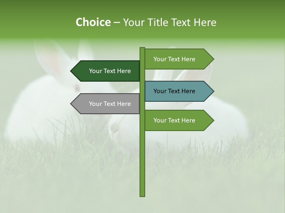 A Couple Of Rabbits Sitting In The Grass PowerPoint Template