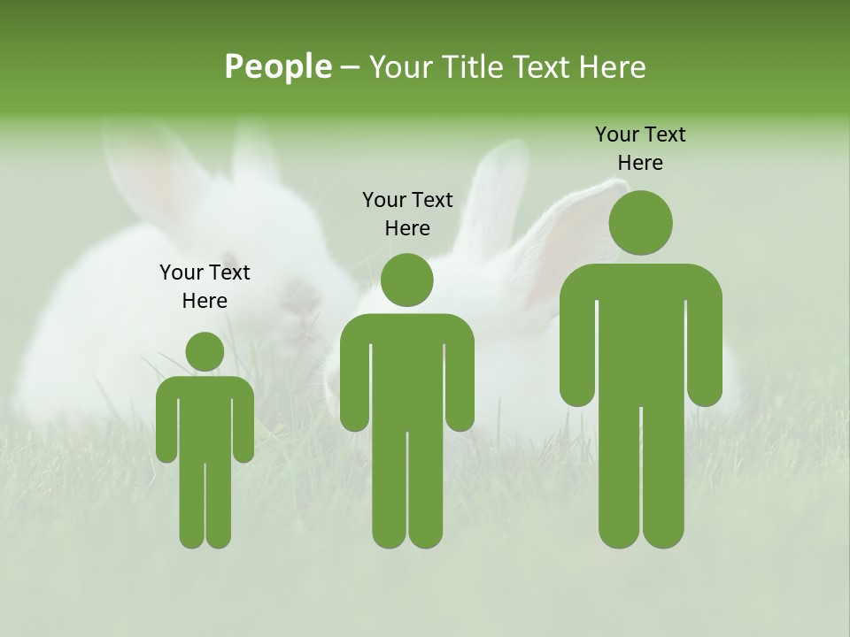 A Couple Of Rabbits Sitting In The Grass PowerPoint Template