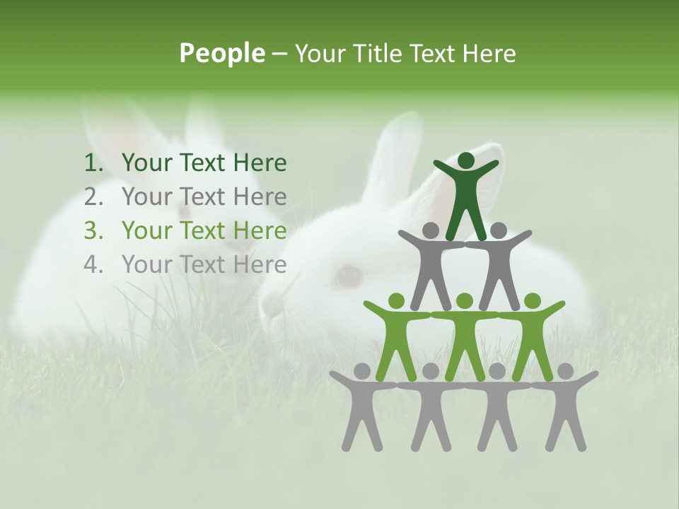 A Couple Of Rabbits Sitting In The Grass PowerPoint Template