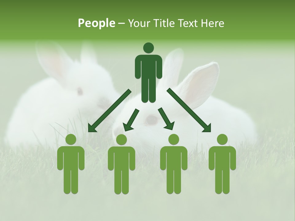 A Couple Of Rabbits Sitting In The Grass PowerPoint Template