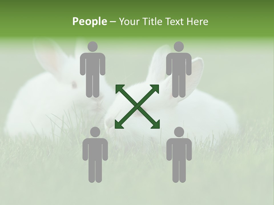 A Couple Of Rabbits Sitting In The Grass PowerPoint Template