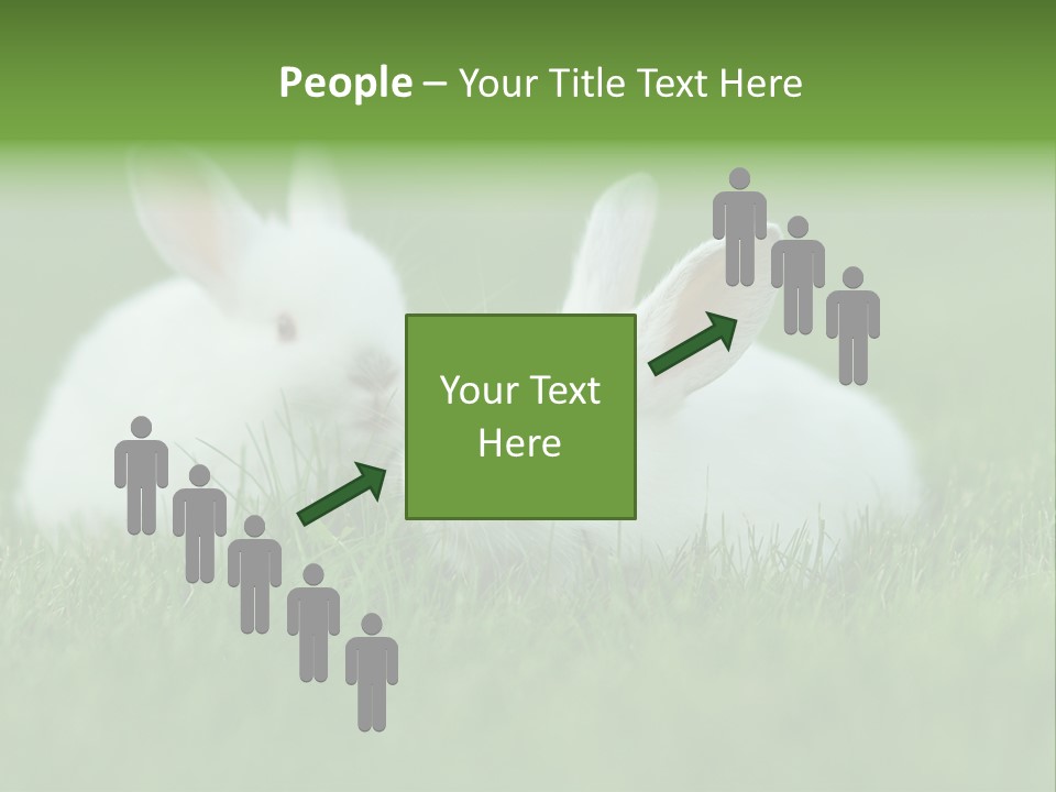 A Couple Of Rabbits Sitting In The Grass PowerPoint Template