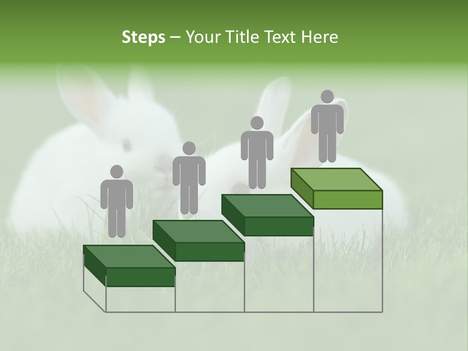 A Couple Of Rabbits Sitting In The Grass PowerPoint Template