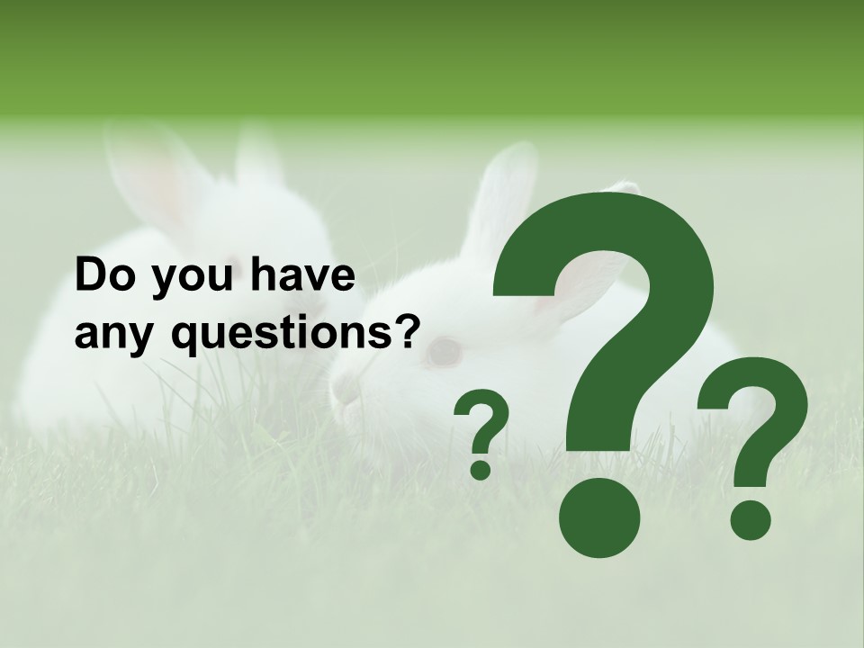 A Couple Of Rabbits Sitting In The Grass PowerPoint Template