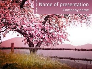 A Picture Of A Tree With A Fence In Front Of It PowerPoint Template