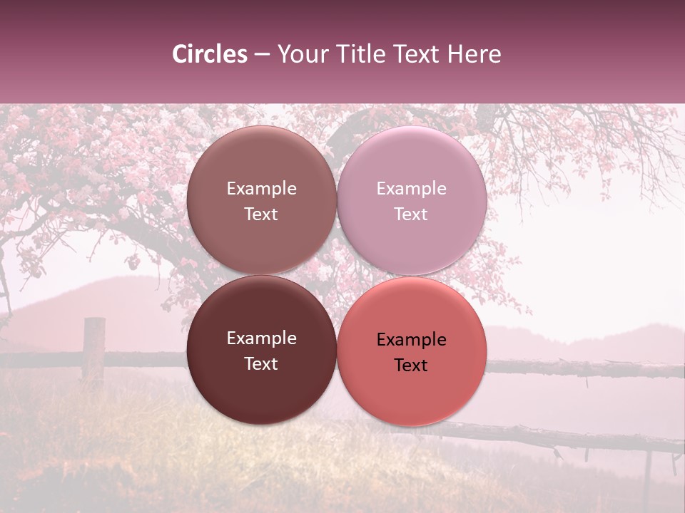 A Picture Of A Tree With A Fence In Front Of It PowerPoint Template