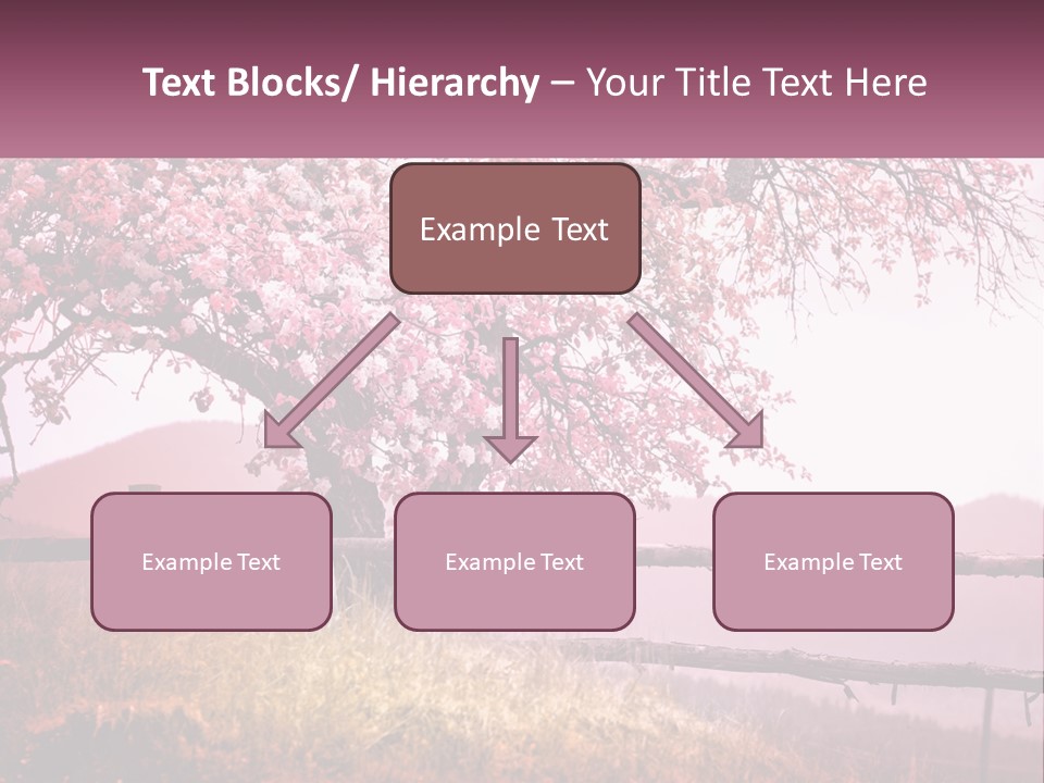 A Picture Of A Tree With A Fence In Front Of It PowerPoint Template