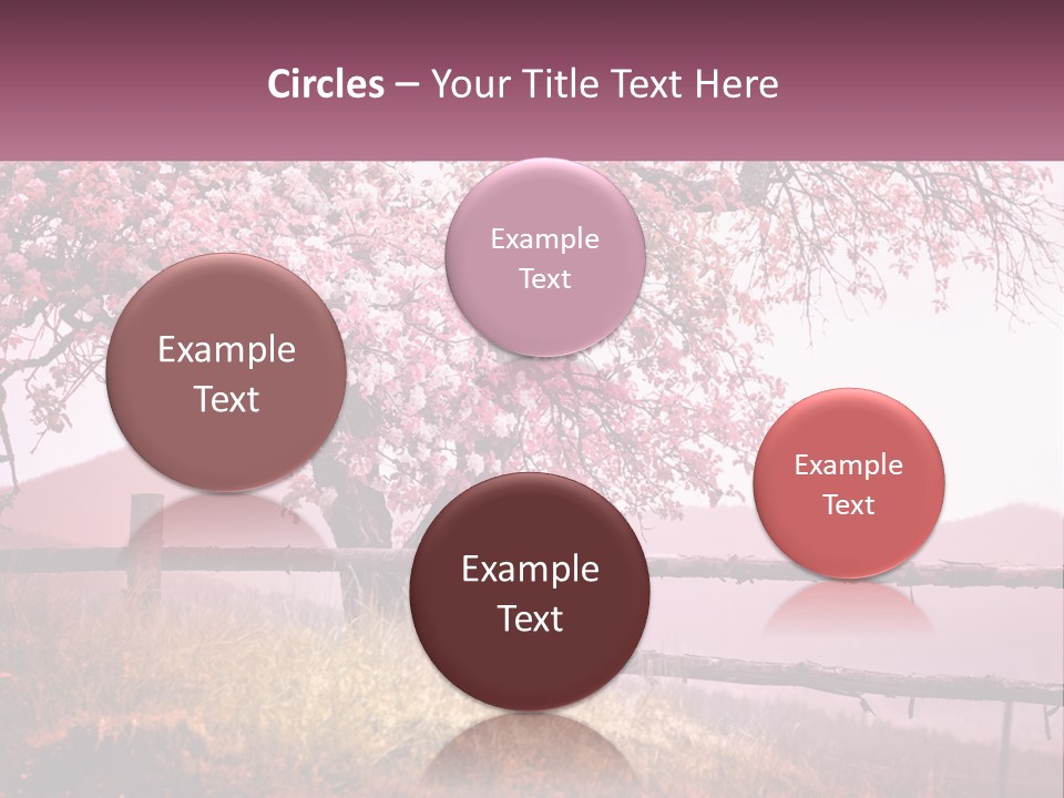A Picture Of A Tree With A Fence In Front Of It PowerPoint Template