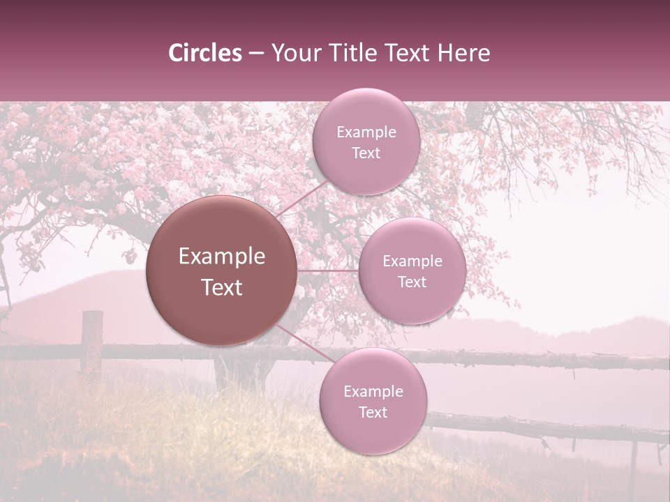 A Picture Of A Tree With A Fence In Front Of It PowerPoint Template