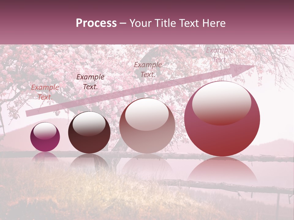 A Picture Of A Tree With A Fence In Front Of It PowerPoint Template