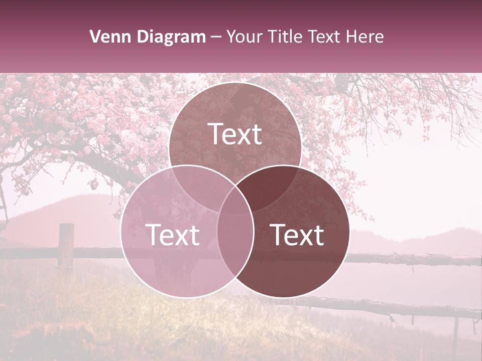 A Picture Of A Tree With A Fence In Front Of It PowerPoint Template