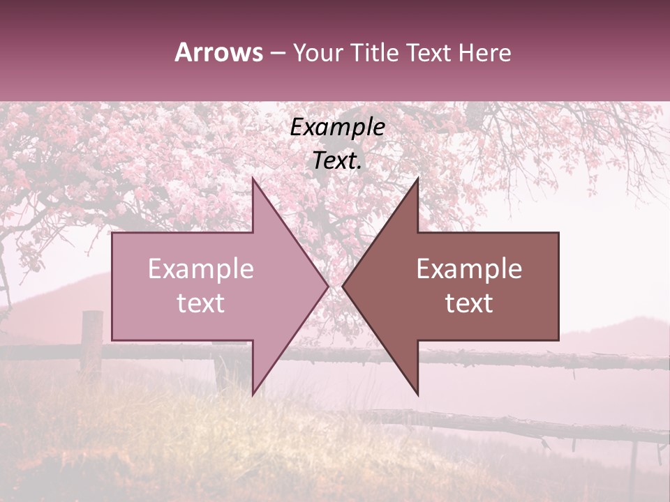 A Picture Of A Tree With A Fence In Front Of It PowerPoint Template