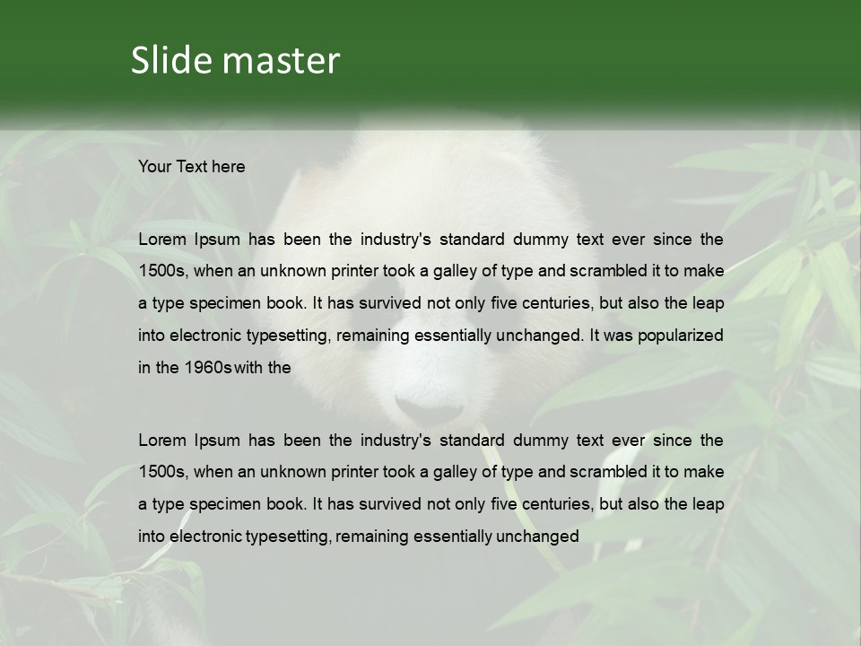 A Panda Bear Eating Bamboo In A Forest PowerPoint Template