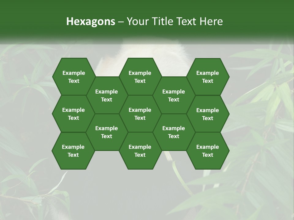 A Panda Bear Eating Bamboo In A Forest PowerPoint Template