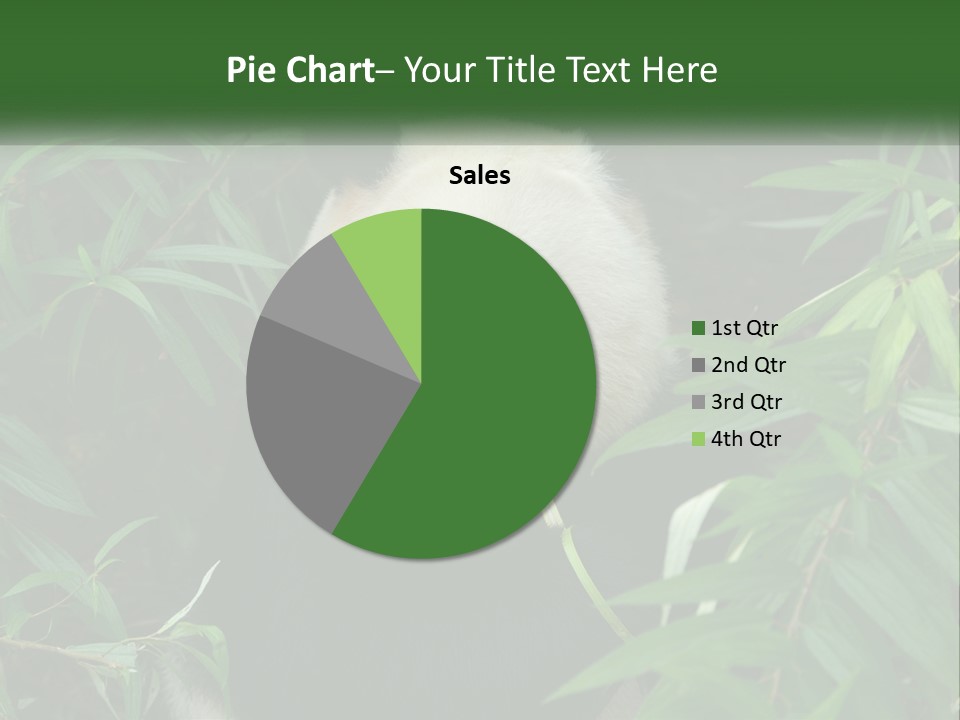 A Panda Bear Eating Bamboo In A Forest PowerPoint Template
