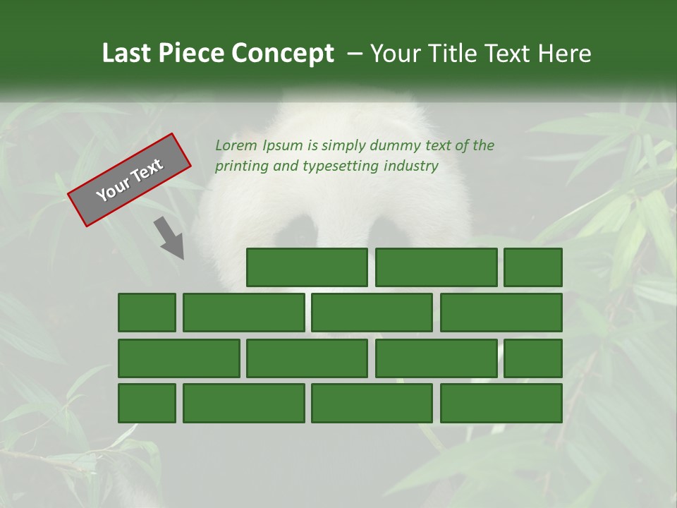 A Panda Bear Eating Bamboo In A Forest PowerPoint Template