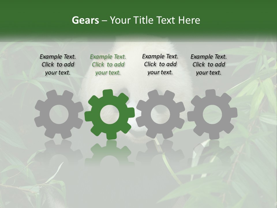 A Panda Bear Eating Bamboo In A Forest PowerPoint Template