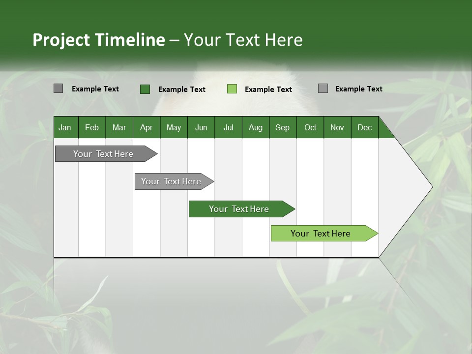 A Panda Bear Eating Bamboo In A Forest PowerPoint Template