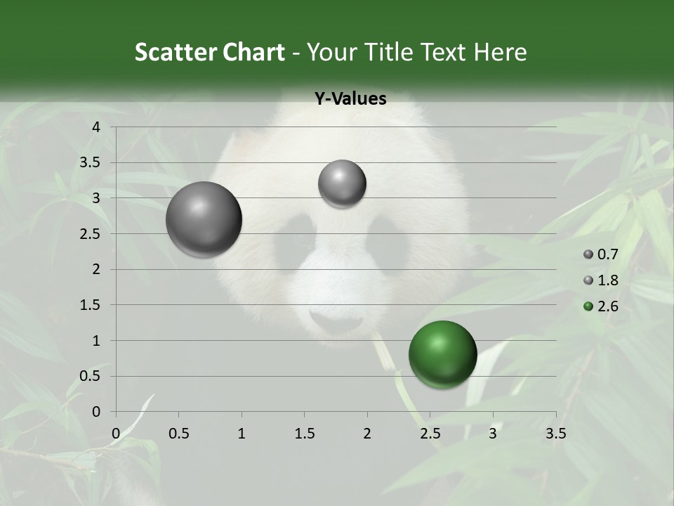 A Panda Bear Eating Bamboo In A Forest PowerPoint Template