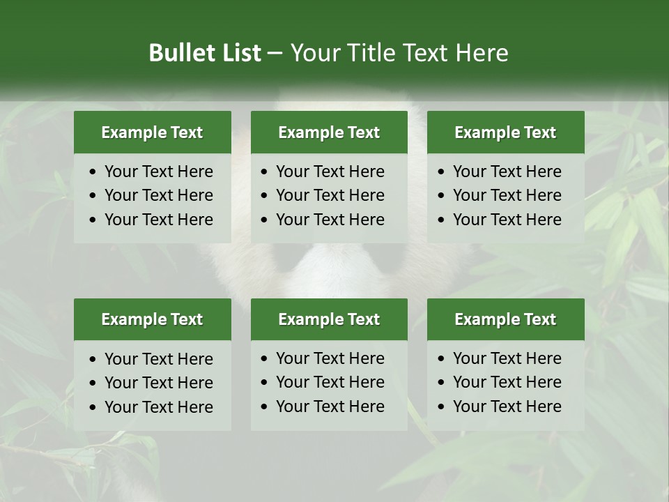 A Panda Bear Eating Bamboo In A Forest PowerPoint Template