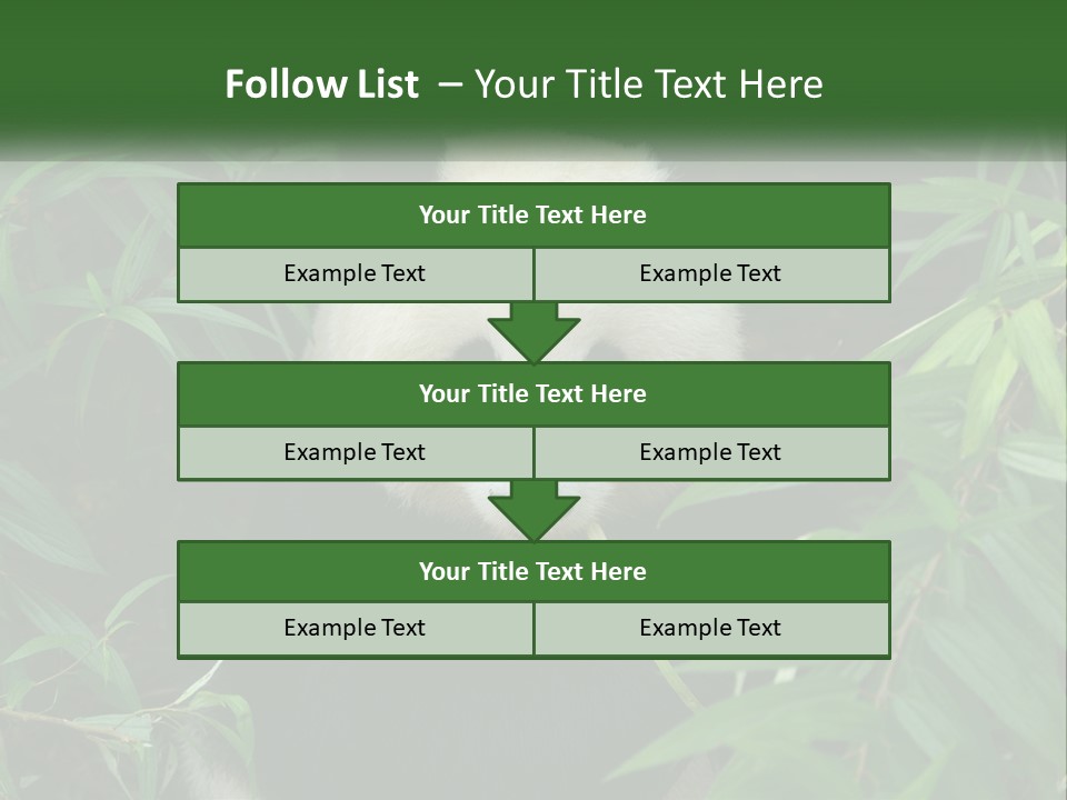 A Panda Bear Eating Bamboo In A Forest PowerPoint Template