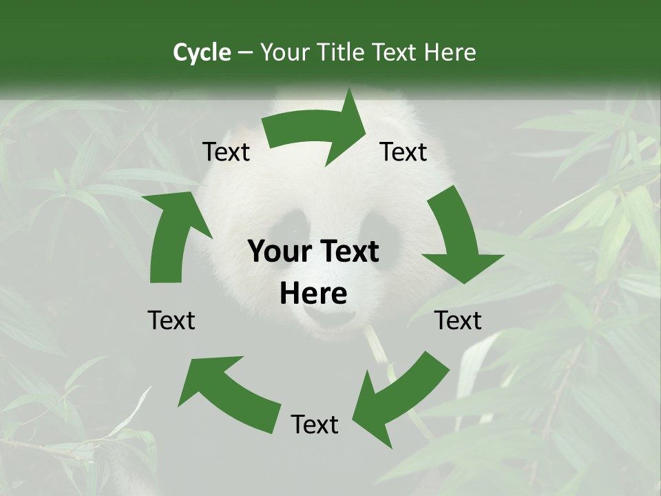 A Panda Bear Eating Bamboo In A Forest PowerPoint Template