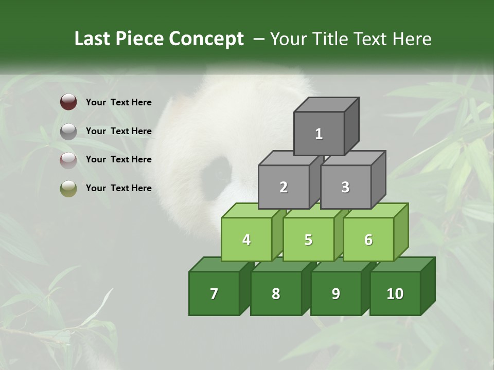A Panda Bear Eating Bamboo In A Forest PowerPoint Template