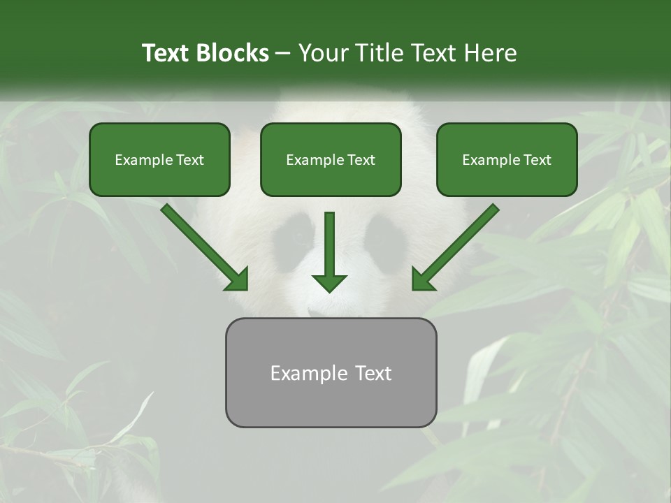 A Panda Bear Eating Bamboo In A Forest PowerPoint Template