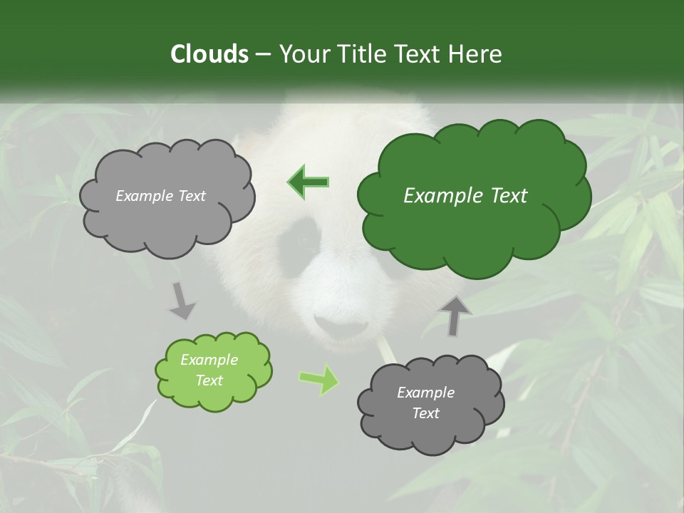 A Panda Bear Eating Bamboo In A Forest PowerPoint Template