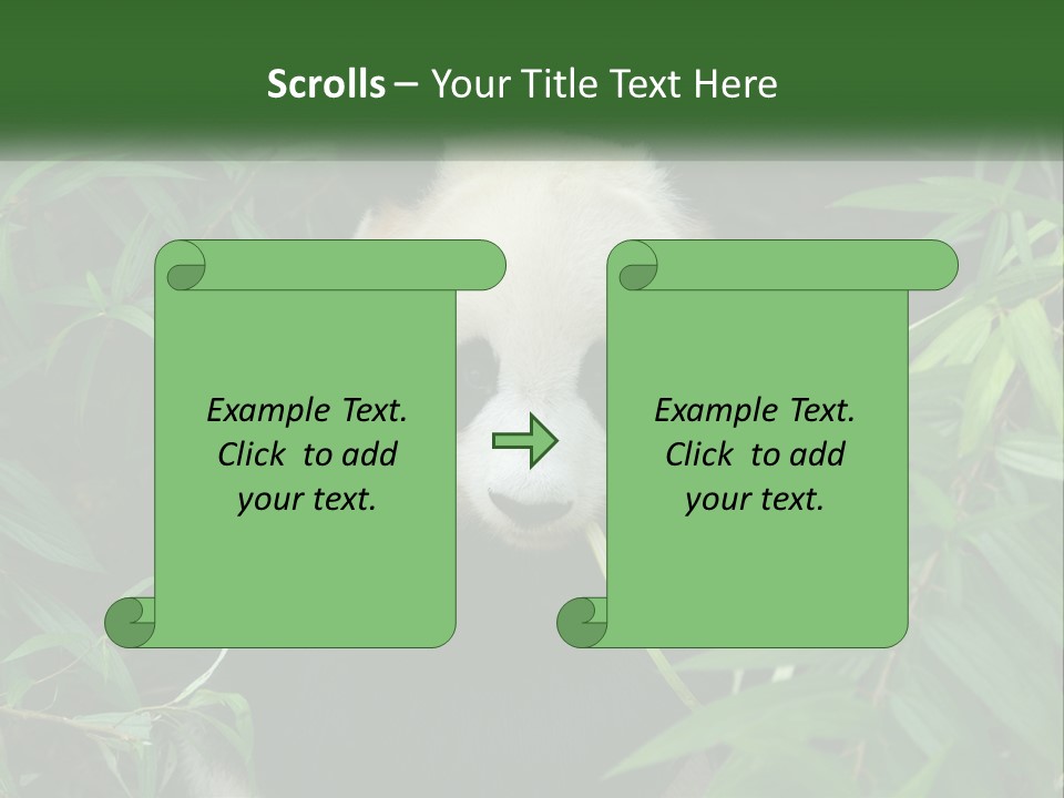 A Panda Bear Eating Bamboo In A Forest PowerPoint Template